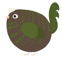 A bark and olive chicken with a bar pattern