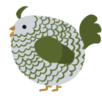 A mist and olive chicken with a lace pattern