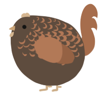 A bark and brown chicken with a half-lace pattern