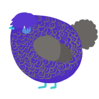 A indigo and grey chicken with a double-lace pattern