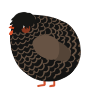 A black and bark chicken with a lace pattern