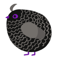 A black and grey chicken with a lace pattern