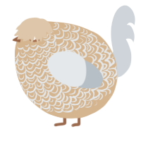 A beige and mist chicken with a double-lace pattern