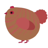 A brown and red chicken with a bar pattern