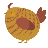 A gold and russet chicken with a bar pattern