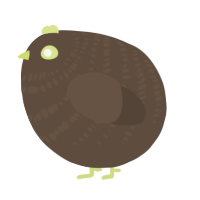 A bark chicken with a bar pattern