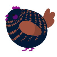 A tumblr and russet chicken with a bar pattern