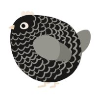 A sable and ash chicken with a lace pattern