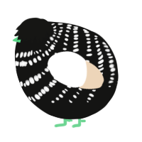 A black and cream chicken with a bar pattern