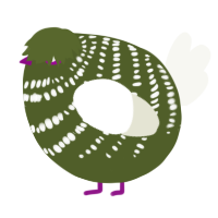 A olive and white chicken with a bar pattern