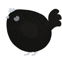 A black and sable chicken with a half-lace pattern