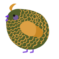 A olive and orange chicken with a lace pattern