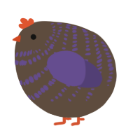 A bark and overcast chicken with a bar pattern