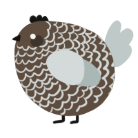 A bark and silver chicken with a lace pattern