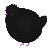 A black and sable chicken with a lace pattern