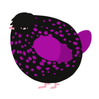 A black and plum chicken with a speckle pattern