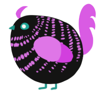 A black and orchid chicken with a bar pattern
