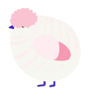 A white and rose chicken with a bar pattern