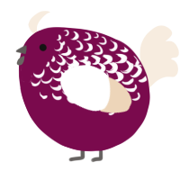 A wine and cream chicken with a half-lace pattern