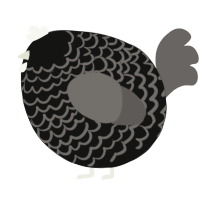 A black and grey chicken with a lace pattern