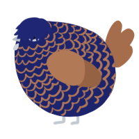 A navy and brown chicken with a lace pattern