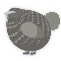 A grey and ash chicken with a bar pattern