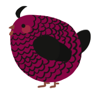 A maroon and black chicken with a lace pattern