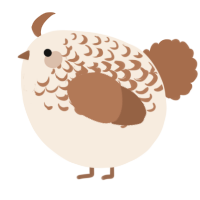 A cream and brown chicken with a half-lace pattern