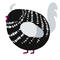 A black and mist chicken with a bar pattern
