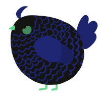 A black and navy chicken with a lace pattern