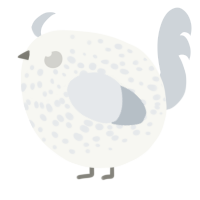 A white and mist chicken with a speckle pattern