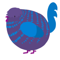 A overcast and sapphire chicken with a bar pattern
