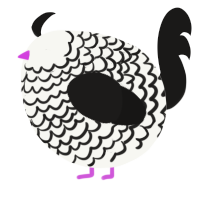 A white and sable chicken with a lace pattern
