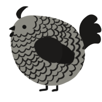 A ash and sable chicken with a lace pattern