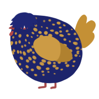A navy and gold chicken with a speckle pattern