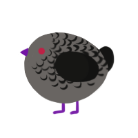 A grey and black chicken with a half-lace pattern