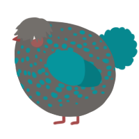 A grey and teal chicken with a speckle pattern