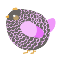 A grey and lavender chicken with a lace pattern