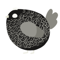 A sable and ash chicken with a double-lace pattern