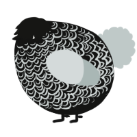 A black and silver chicken with a double-lace pattern