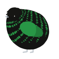 A black and viridian chicken with a bar pattern