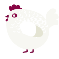 A white chicken with a half-lace pattern