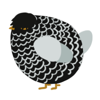 A black and silver chicken with a lace pattern