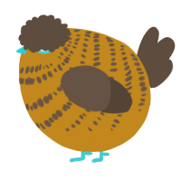 A ochre and bark chicken with a bar pattern