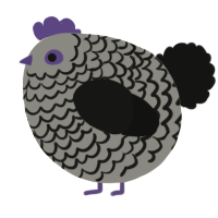 A ash and black chicken with a lace pattern