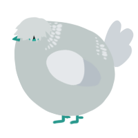 A silver and mist chicken with a neck-band pattern