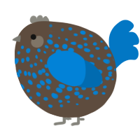 A bark and sapphire chicken with a speckle pattern