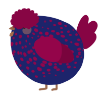 A navy and maroon chicken with a speckle pattern