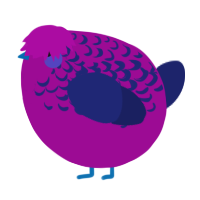 A plum and navy chicken with a half-lace pattern