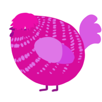 A fuchsia and orchid chicken with a bar pattern